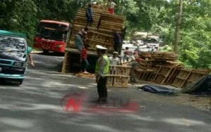 Diduga Kelebihan Muatan Sebuah Truk Fuso Terguling Di Gumitir