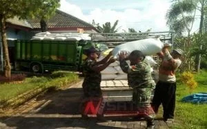 Babinsa Ramil Gapura Kirim Gabah Ke Subdivre Bulog Pamekasan