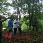 Dirjen Perkebunan Kementerian Pertanian RI Tinjau Pertanian Cengkeh Di Ternate