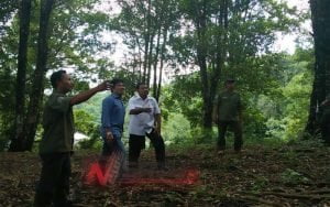 Dirjen Perkebunan Kementerian Pertanian RI Tinjau Pertanian Cengkeh Di Ternate