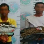 Simpan Daun Ganja, Dua Warga Aceh Tamiang Diamankan Polisi
