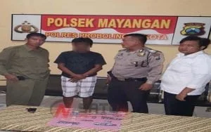 Transaksi Jual Pil Koplo Dengan Polisi, Warga Mayangan Probolinggi Ditangkap