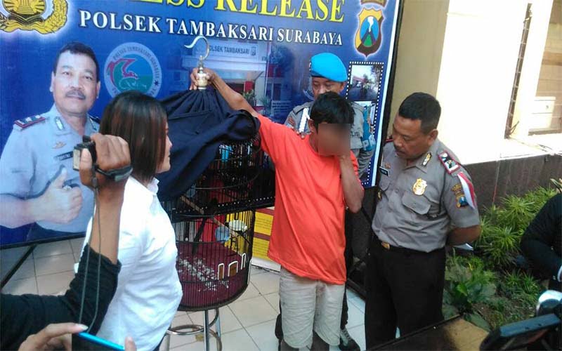 Curi Burung, Pria Ini Diamankan Polisi