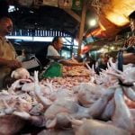 Harga Ayam Potong Di Tangerang Tembus Rp 45 Ribu