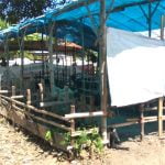 DKPP Sumenep Periksa Kesehatan Hewan Kurban