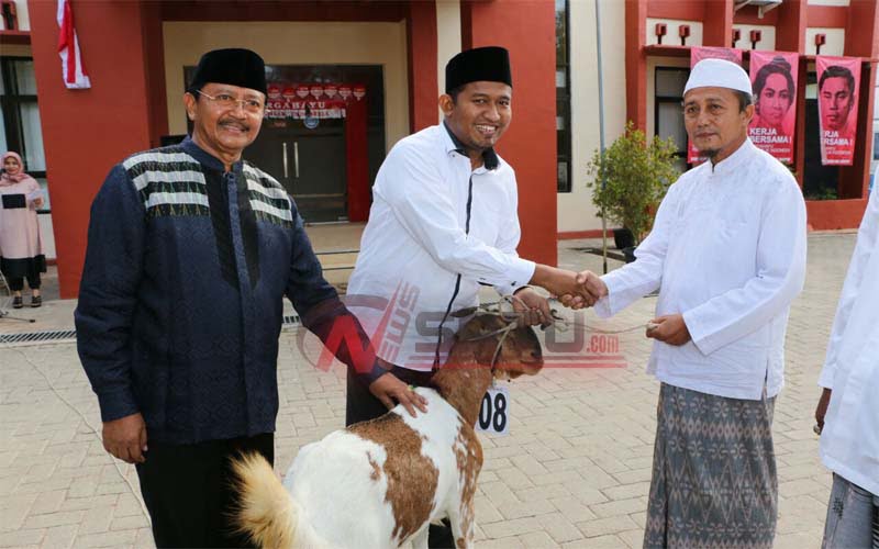 Pemkab Sumenep Salurkan Ratusan Hewan Kurban