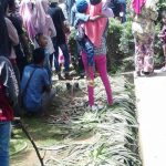Banyak Tanaman Rusak Di Arek Lancor, DLH Pamekasan Akan Panggil Bank Jatim