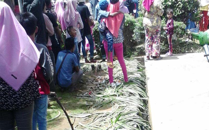 Banyak Tanaman Rusak Di Arek Lancor, DLH Pamekasan Akan Panggil Bank Jatim