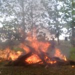 Dijadikan Tempat Pesta Narkoba, Polres Bangkalan Bakar Enam Gubuk