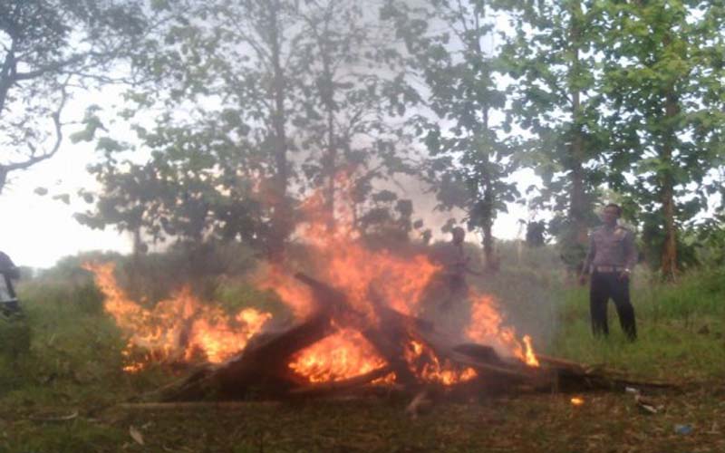 Dijadikan Tempat Pesta Narkoba, Polres Bangkalan Bakar Enam Gubuk