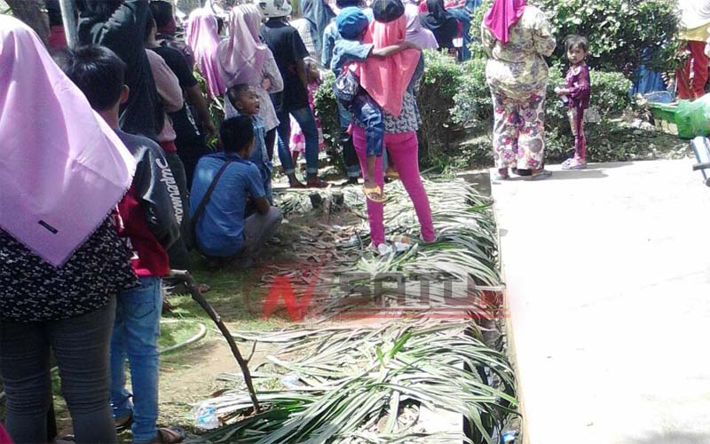 Gara-gara Acara Bank Jatim, Tanaman Bunga Di Taman Arek Lancor Banyak Rusak