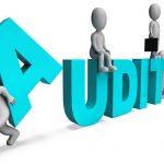 Pedoman Audit Untuk Lembaga Keuangan Syariah
