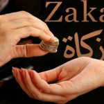Peran Penting Akuntabilitas Dan Tranparansi Lembaga Zakat Di Indonesia