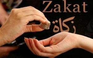 Peran Penting Akuntabilitas Dan Tranparansi Lembaga Zakat Di Indonesia