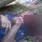 Seorang Kakek Ditemukan Tewas Bersimbah Darah Di Kebun Kelapa