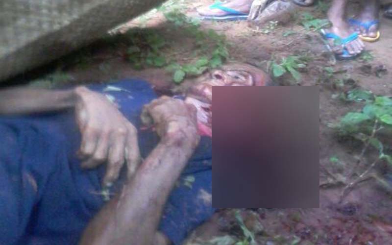 Seorang Kakek Ditemukan Tewas Bersimbah Darah Di Kebun Kelapa