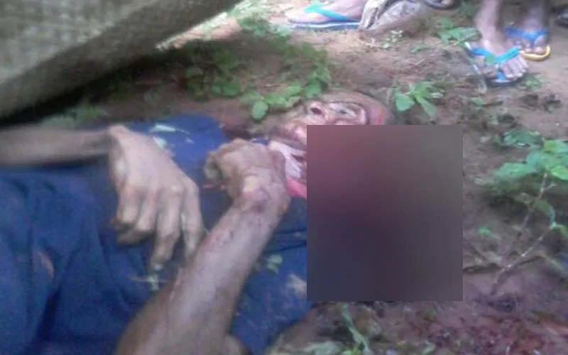 Seorang Kakek Ditemukan Tewas Bersimbah Darah Di Kebun Kelapa