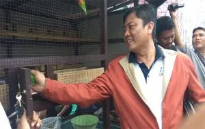 Politisi Gerindra Ajarin Penghuni Rutan Sumenep Budidaya Burung Love Bird