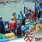 Cuaca Buruk, Harga Ikan Di Malang Mulai Meroket