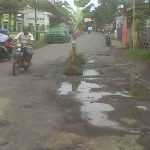 Protes Jalan Berlubang, Warga Kebonsari Wetan Probolinggo Tanam Pohon Pisang