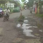 Protes Jalan Berlubang, Warga Kebonsari Wetan Probolinggo Tanam Pohon Pisang