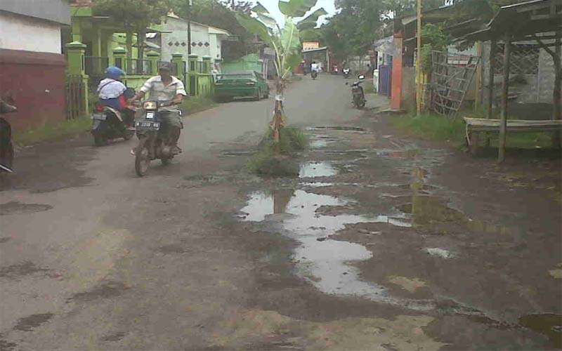 Protes Jalan Berlubang, Warga Kebonsari Wetan Probolinggo Tanam Pohon Pisang