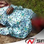 Seruduk Pot Bunga, Seorang Kakek Di Sumenep Tewas