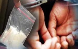Simpan Sabu-sabu 20 Gram, Warga Sampang Diamankan Polisi