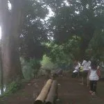 Wisata Sumber Mata Air Sentong Sangat Cocok Mengisi Liburan