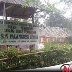 Diterjang Angin Kencang, SDN Palang Besi 2 Probolinggo Ambruk
