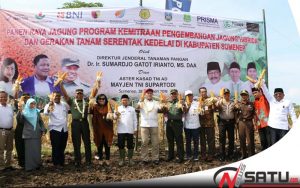 Mampukah Sumenep Jadi Penyuplai Jagung Terbesar Di Tingkat Nasional???