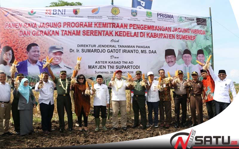 Mampukah Sumenep Jadi Penyuplai Jagung Terbesar Di Tingkat Nasional???
