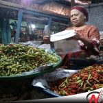 Harga Cabai Di Kota Probolinggo Tembus Rp 60 Ribu