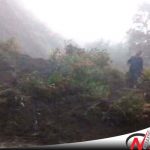 Longsor, Seorang Nenek Di Probolinggo Meninggal Dunia
