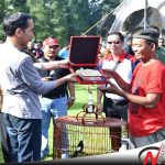 Presiden Jokowi; Penangkaran Burung Perpurtarannya Capai Rp 1,7 Triliun