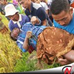 Warga Pasongsongan Sumenep Ditemukan Tak Bernyawa Di Pematang Sawah