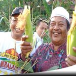 Politisi Gerindra, Kata Siapa Pemuda Sumenep Enggan Bertani???