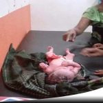 Warga Probolinggo Digegerkan Dengan Penemuan Bayi Mungil