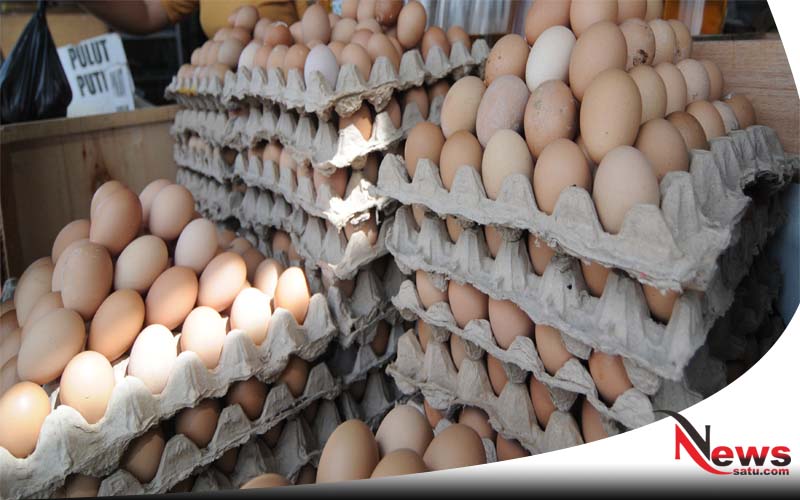 Harga Telur Dan Ayam Kampung Di Sampang Terus Meroket