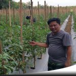 Jumlah Petani Terus Berkurang, Politisi Gerindra Bentuk Pemuda Tani Sumenep (Nurus Salam Politisi Gerindra)