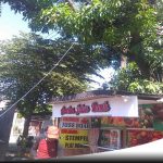 Membahayakan, Warga Probolinggo Desak Pemkot Pohon Besar Di Pangkas