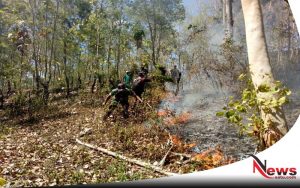 Hutan Terbakar, Prajurit TNI Ponorogo Diterjunkan