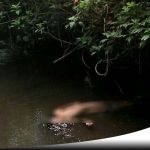 Mandi Di Sungai, Siswa SD Di Banyuwangi Tenggelam