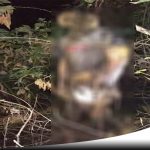 Seorang Pria Di Probolinggo Ditemukan Tergantung Di Pohon