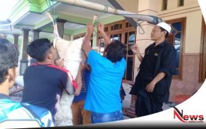 Biro News Satu Probolinggo Bagi-bagi Daging Kurban Pada Warga