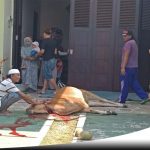 PT MEI Salurkan 7 Ekor Hewan Kurban Pada Warga Sumenep