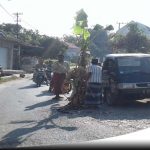 Protes Jalan Rusak, Sopir MPU Di Sumenep Tanam Pohon Pisang Di Jalan