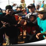 Puluhan Pasang Sapi Rebut Plang Tingkat Kabupaten Di Lapangan Rosong