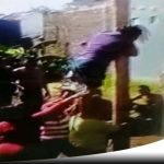 Rayakan Kemerdekaan, Kaum Hawa Di Probolinggo Ikut Lomba Panjat Pinang
