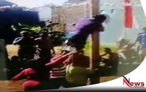 Rayakan Kemerdekaan, Kaum Hawa Di Probolinggo Ikut Lomba Panjat Pinang